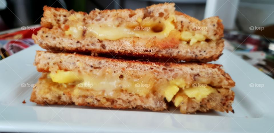 home made toasted cheese sandwich