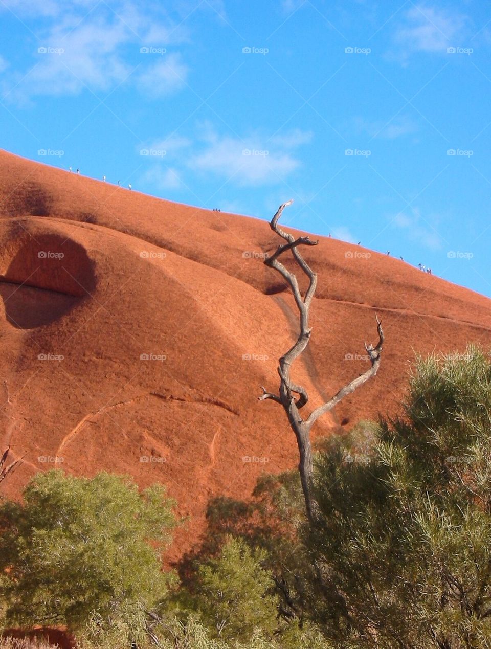 Australian Outback