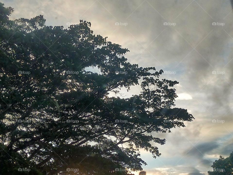 Natural scenery in different places