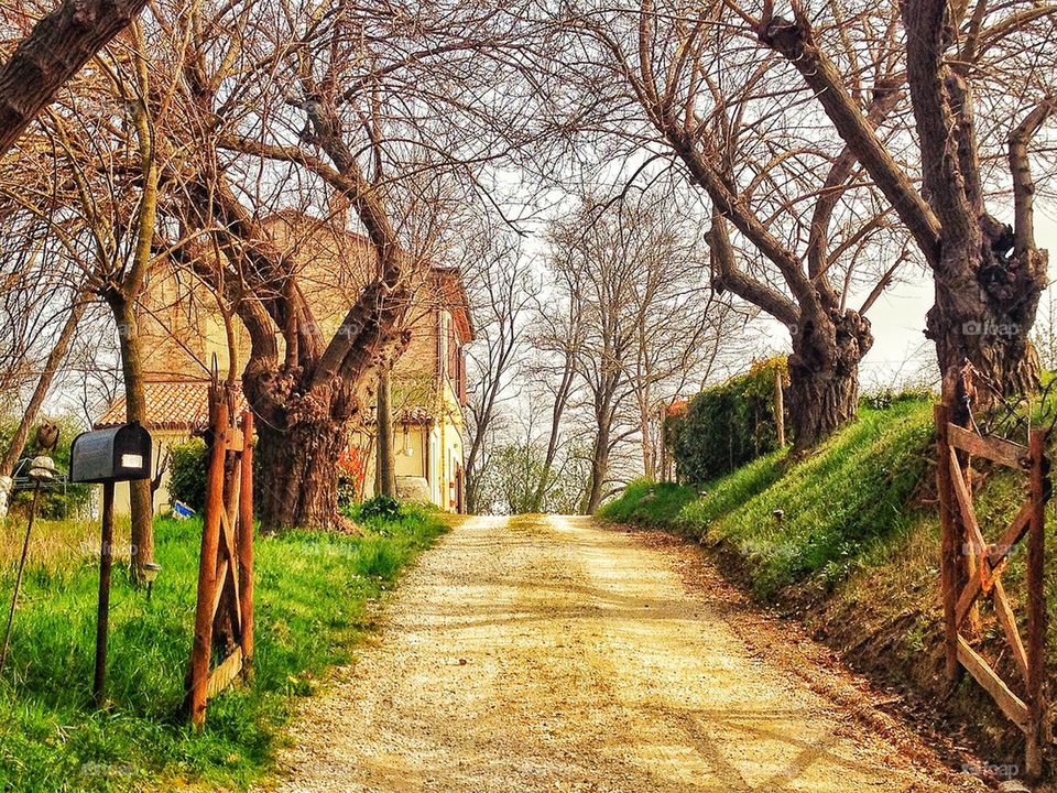 View of dirt road