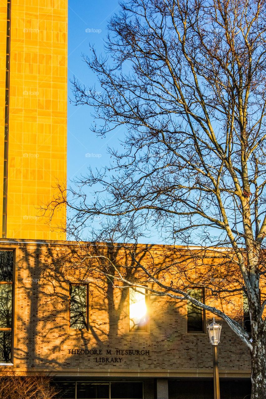 Sun Reflections on The Theodore M. Hesburgh Library