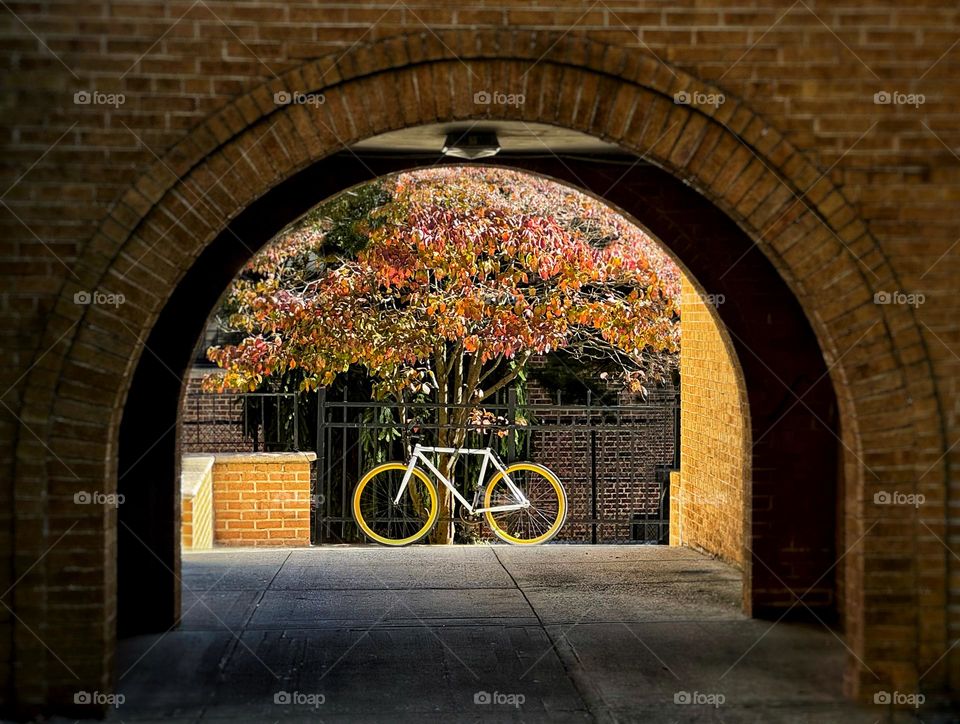 Bicycle under a tree with autumn leaves in a courtyard framed by a brick arch