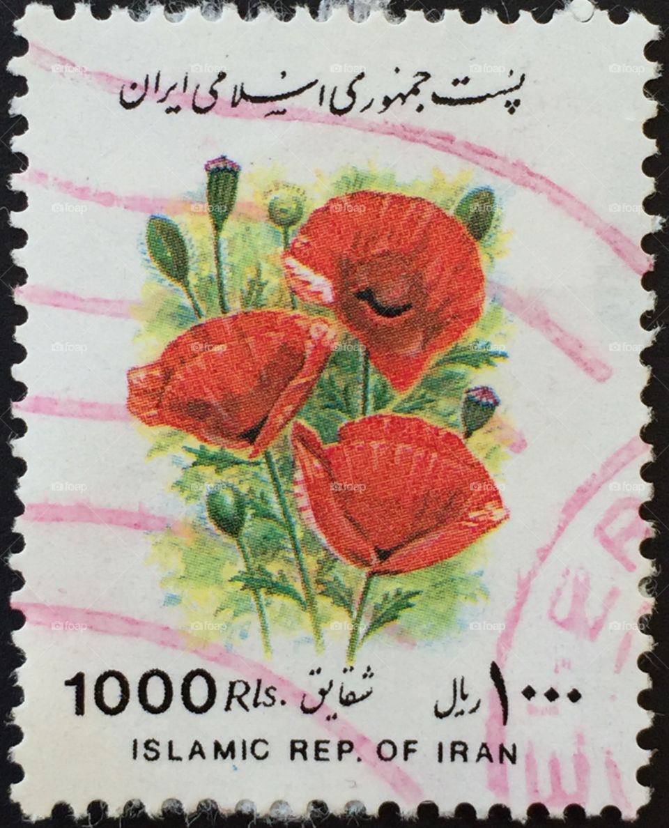 Iran stamp showing red poppies 