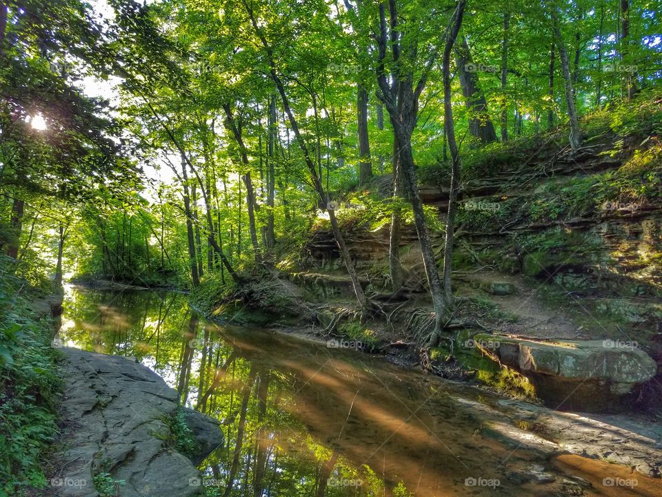 Scenic view of sunset