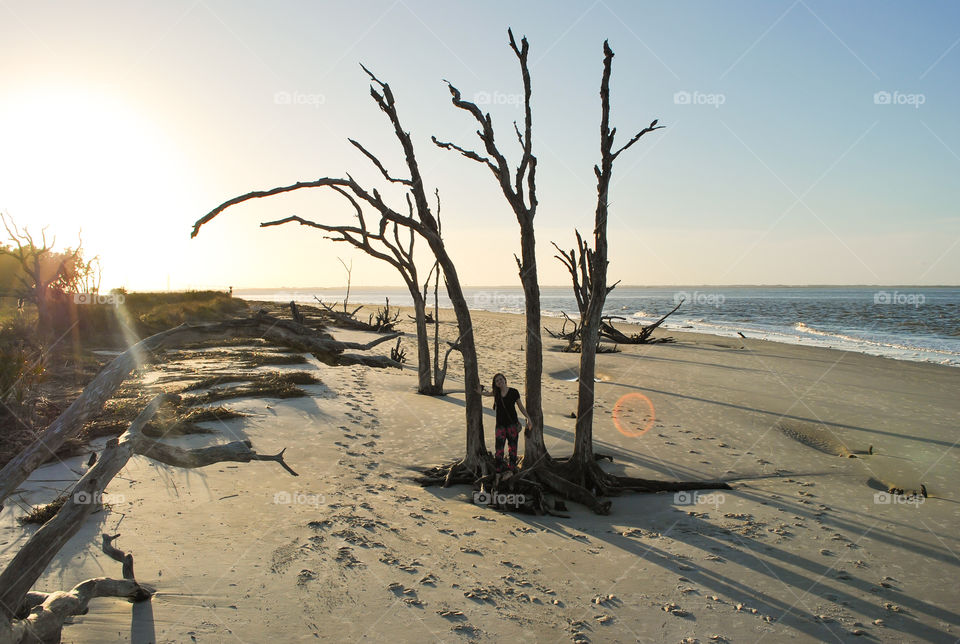 Sunset in driftwood beach 