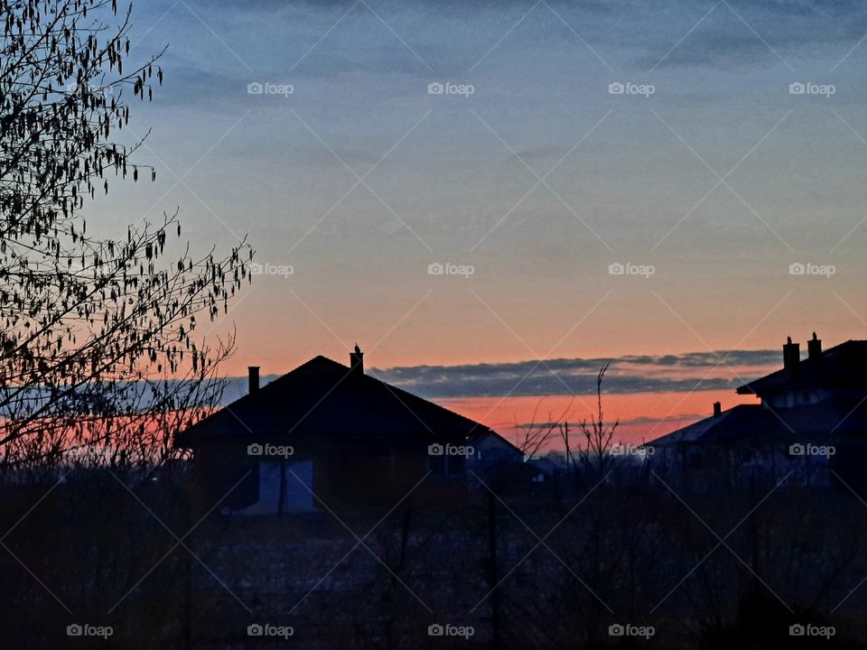 calm dawn with pink sky and linear dark clouds