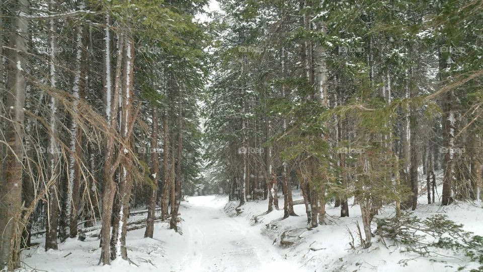 Four wheeling fun in the snow