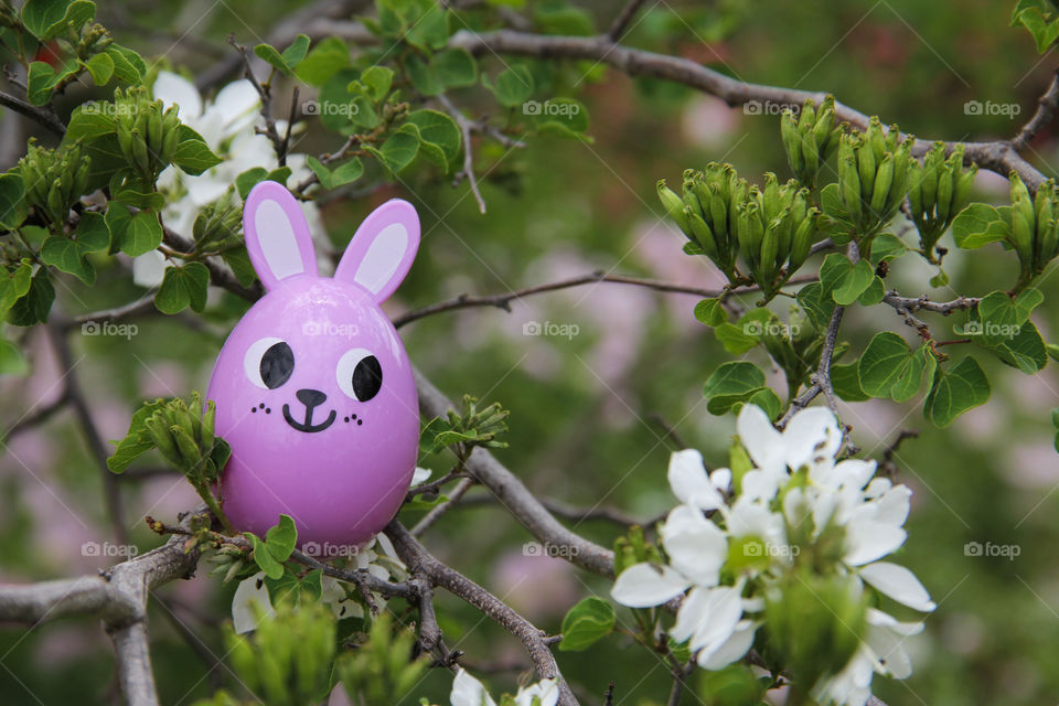 Easter bunny egg sitting on branches and flowers 