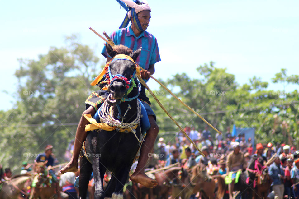 Sumba Traditional War Of Pasola
