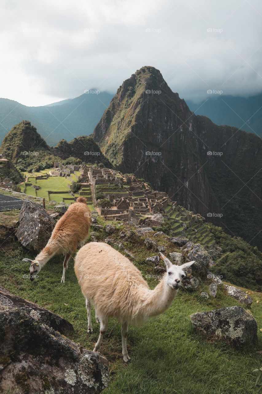 Cuzco Peru