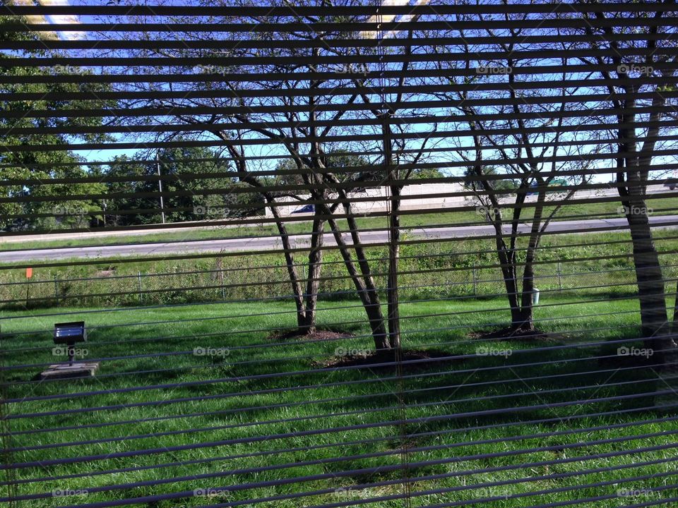 View from office window