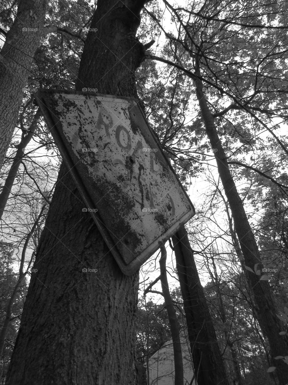 Rusted road closed sign in the woods, black and white