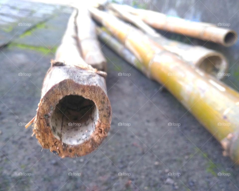 Bamboo pieces on the ground