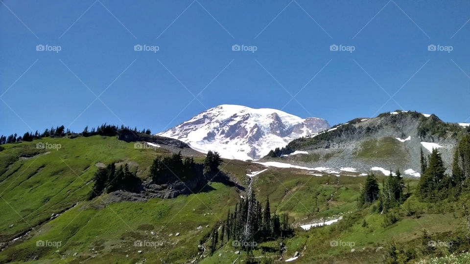 Mt. Rainier Paradise Trails. June 2015