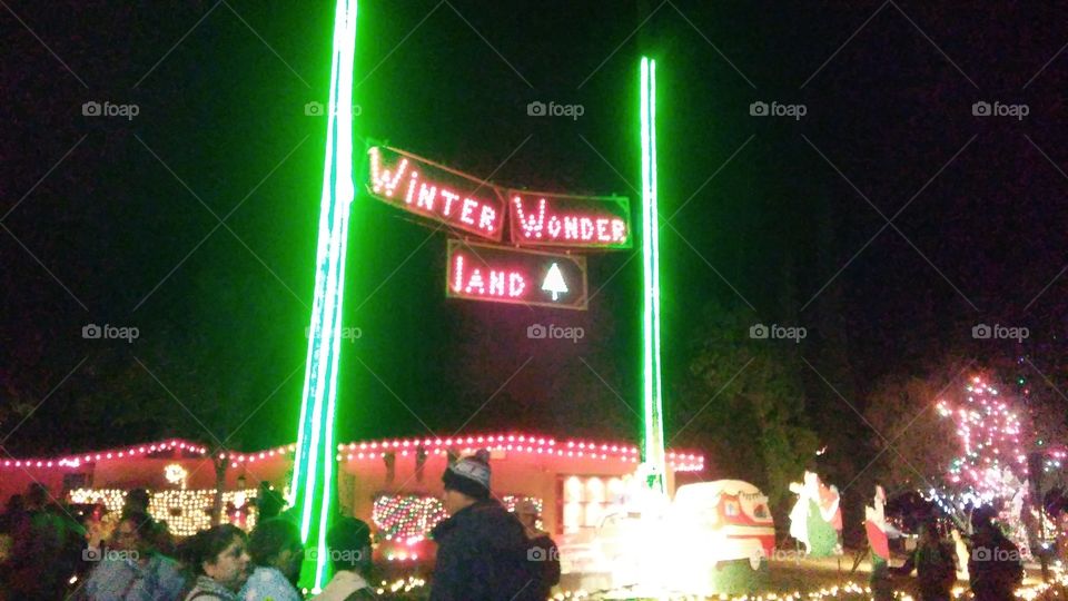 Winter wonder land