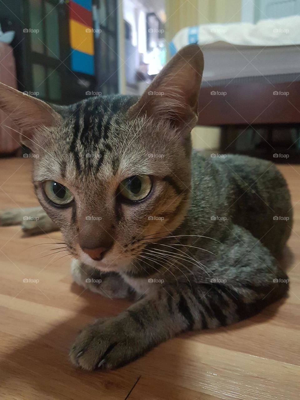 seductive and annoying