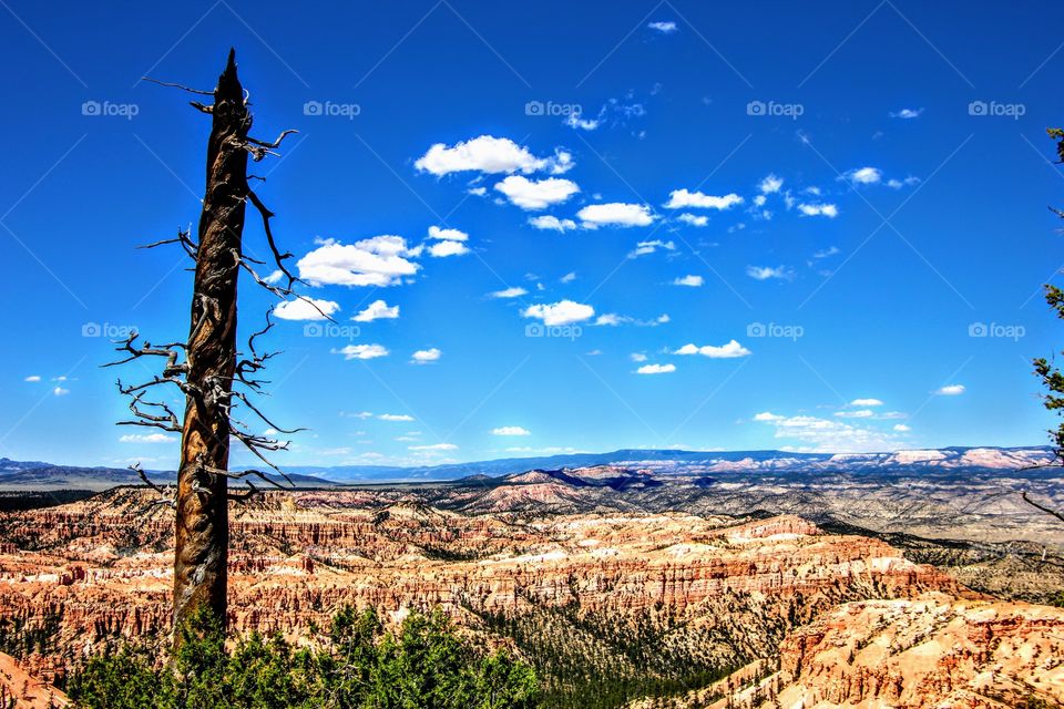 Bryce canyon