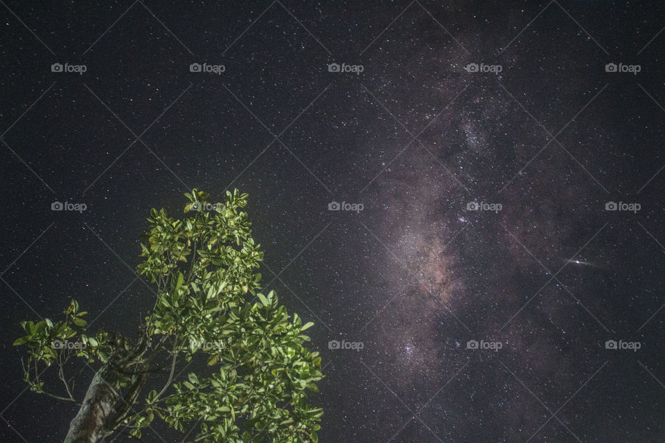 ini adalah pemandangan galaksi bima sakti atau sering disebut dengan milky way. pemandangan ini saya ambil tepat didepan rumah saya.