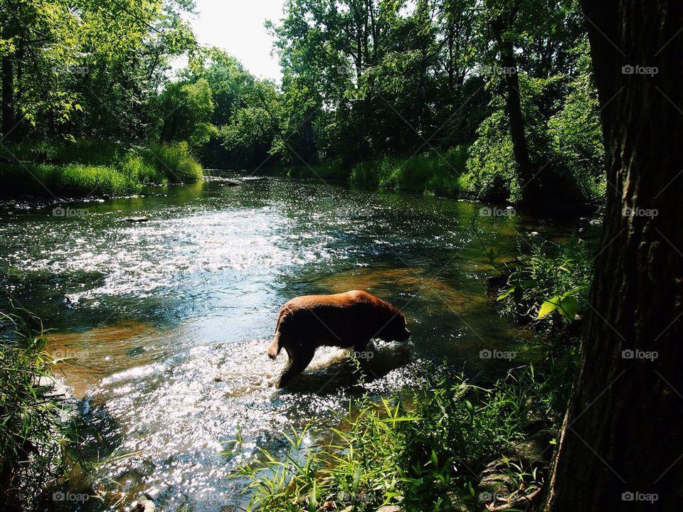 Cooling Off...