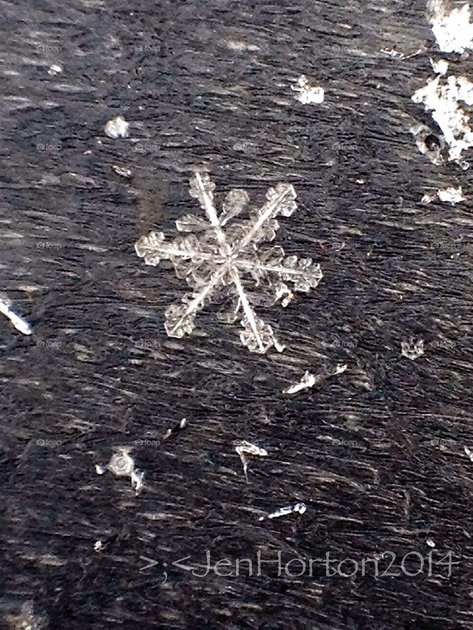 Snowflake # 101