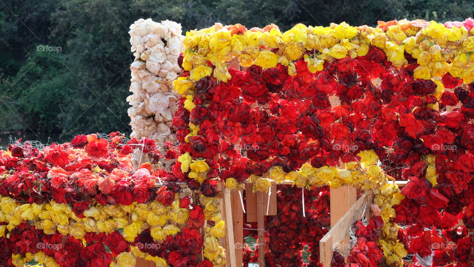 Flower parade