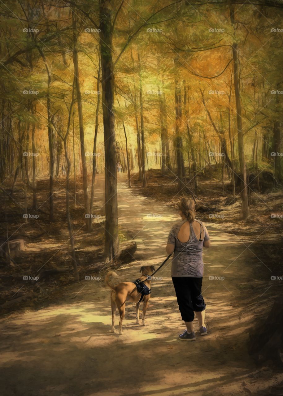A lady and her dog stop to enjoy the splendor of autumn.