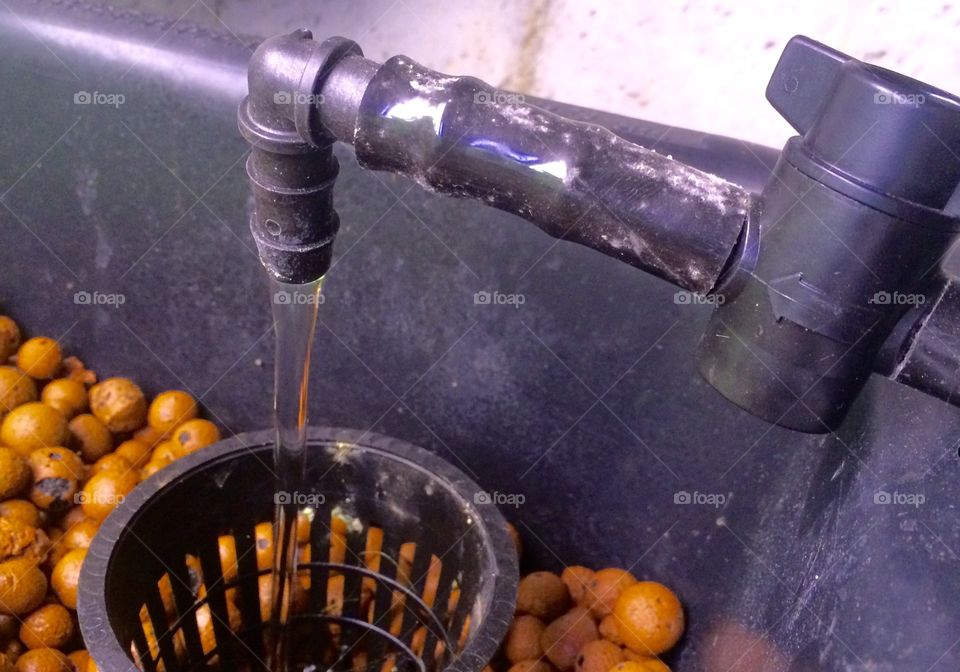 Aquaponics System Valve and Faucet Filling