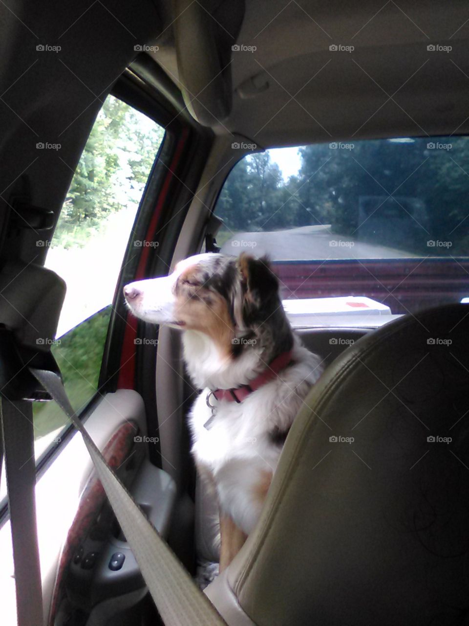 going for a ride down back roads