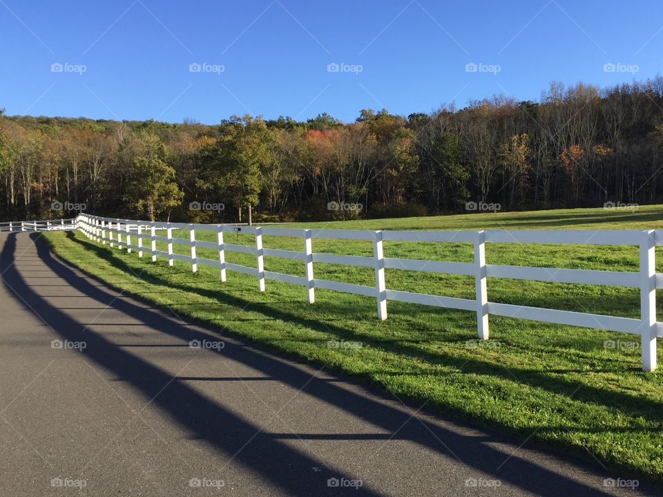 Fall on the Farm