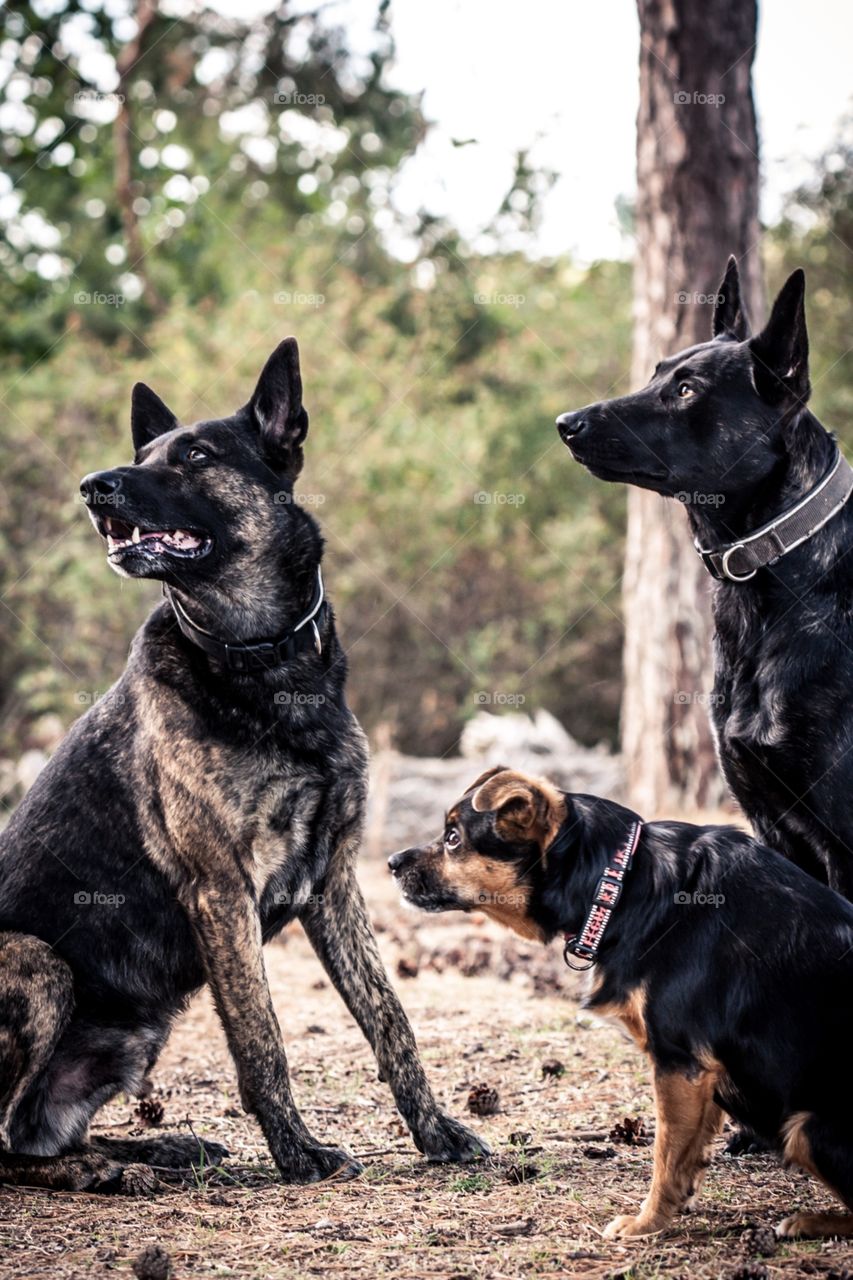 Come on..give it to us