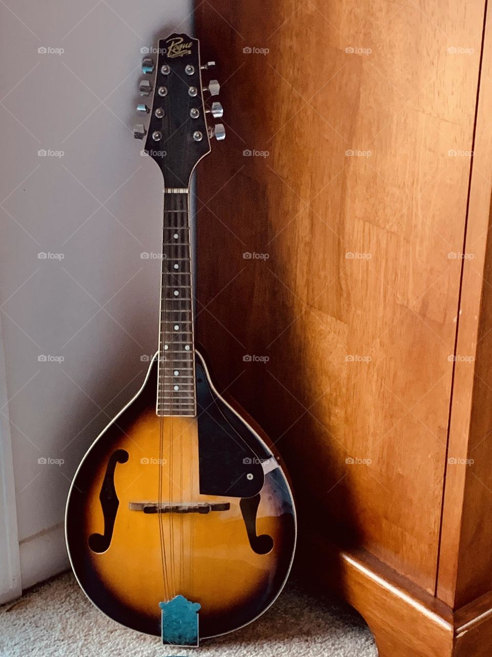 Mandolin 