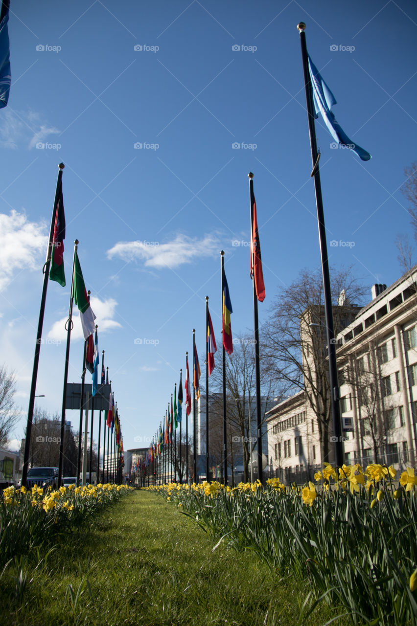 UN county flags