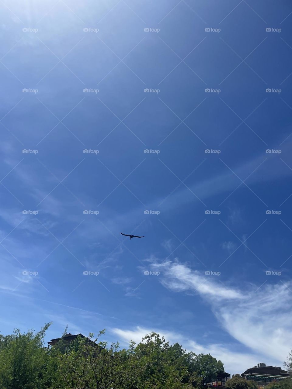 Sedona’s beautiful skyline 