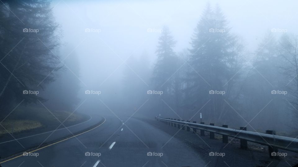 Road through a forest with mist