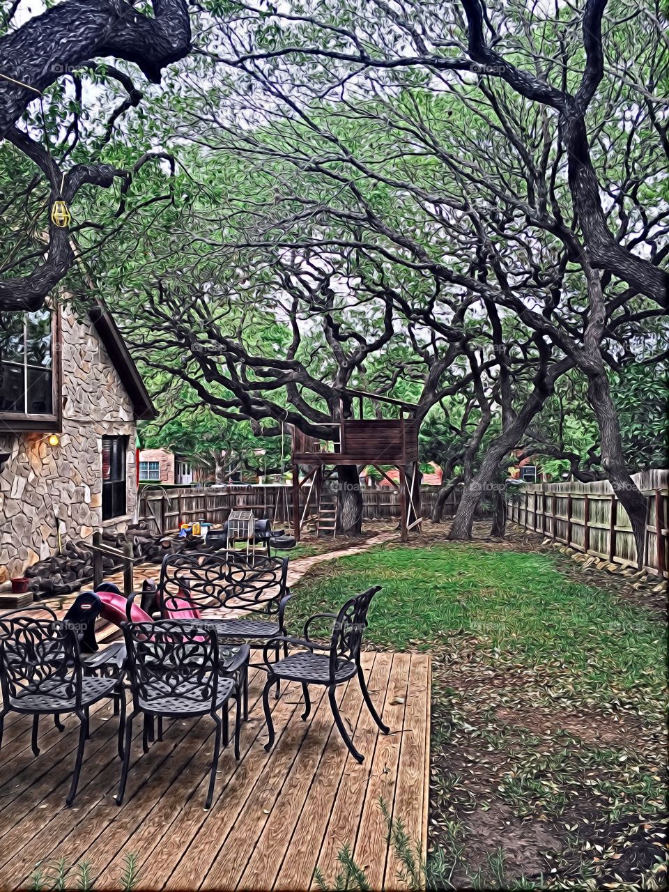 Back yard San Antonio 