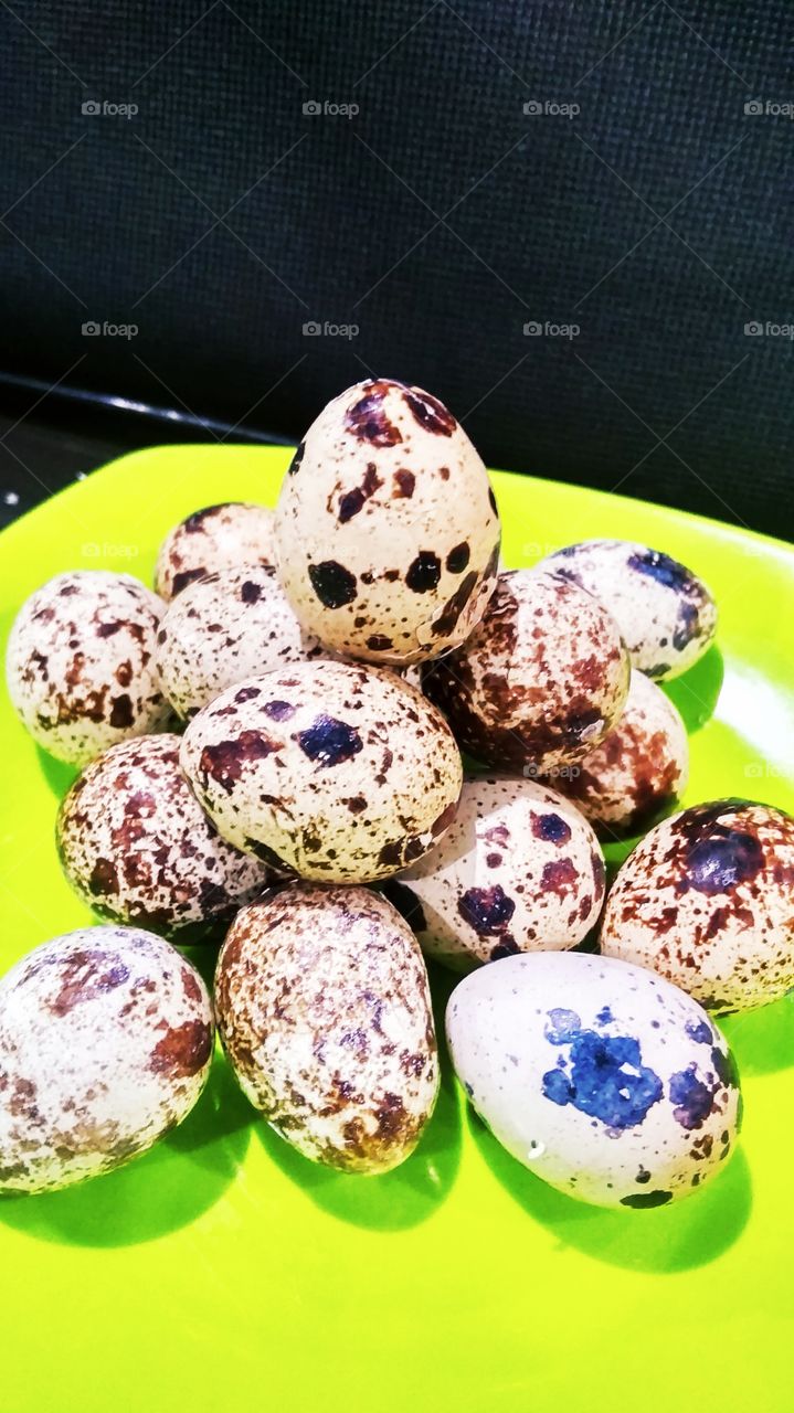 Quail Eggs:

Nutrient content:

Amount Per 100 g100 g - Calories (kcal) 158

Amount of Fat 11 g Saturated Fat 3.6 g Polyunsaturated Fat 1.3 g Monounsaturated Fibers 4.3 g Cholesterol 844 mg Sodium 141 mg Potassium 132 mg Total Carbohydrate 0.4 g Food