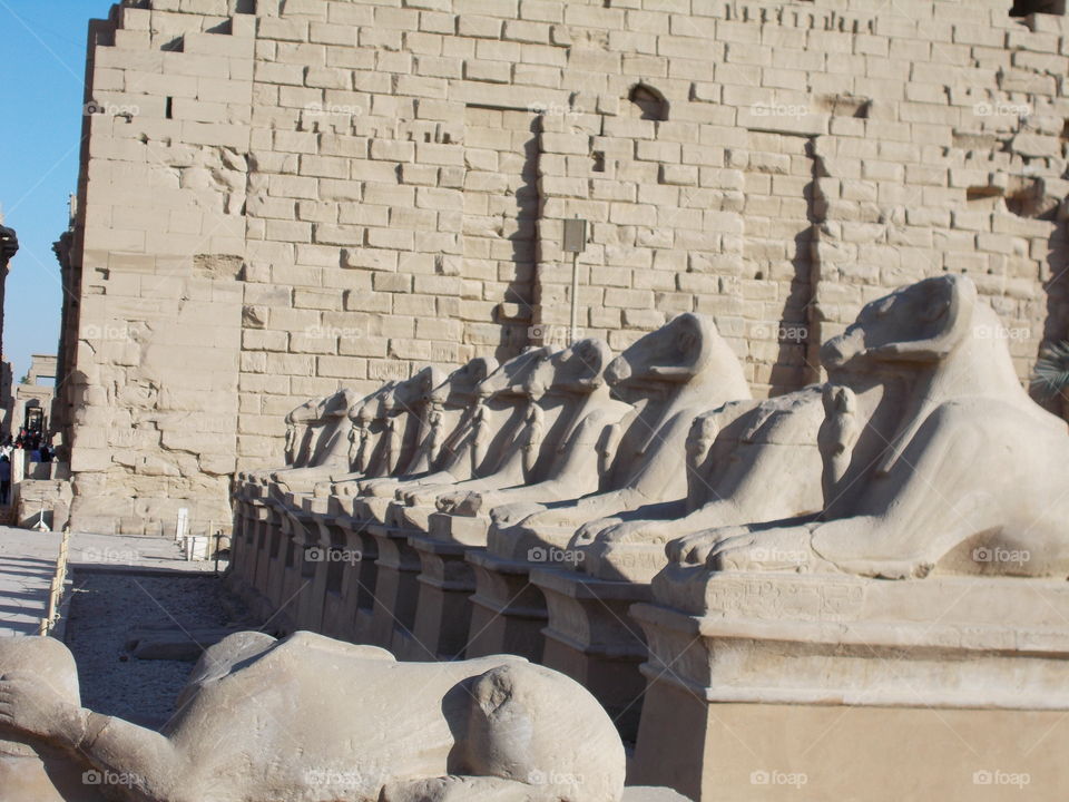 Rams statues in front of the temple of Karnak