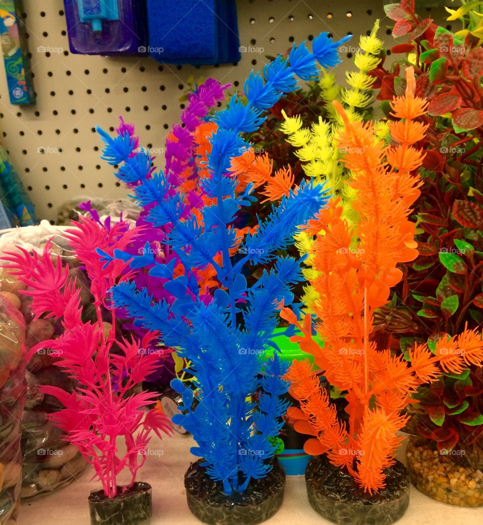 Fish tank accessories 