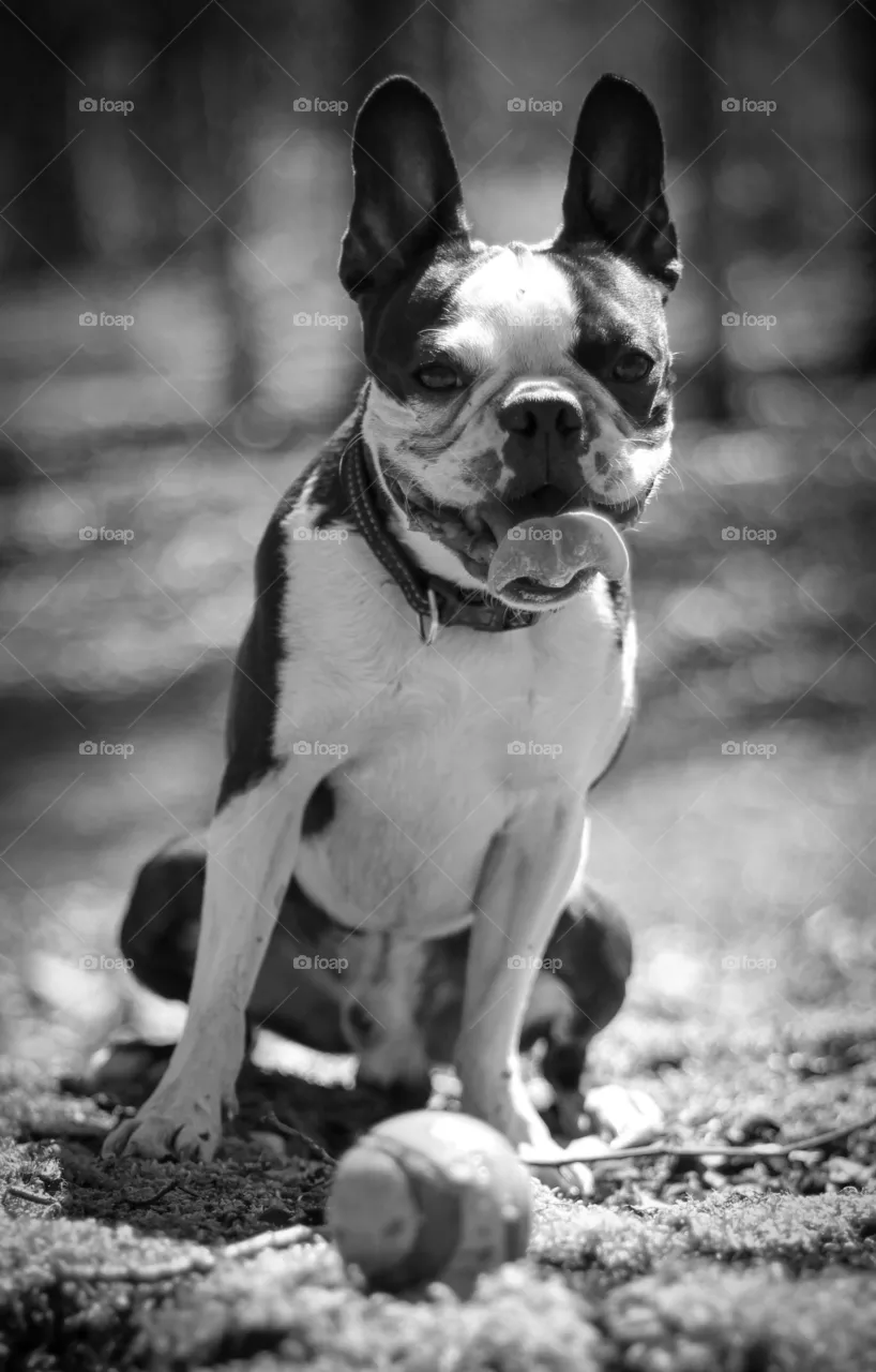 George
