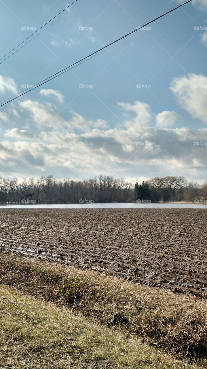 flooded farm field