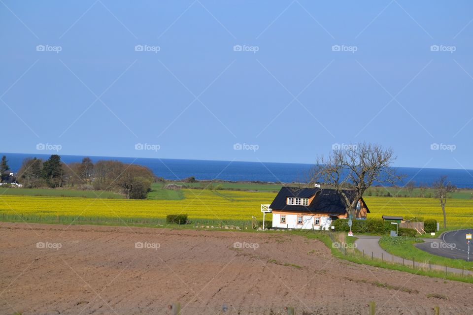 Farmland and house with the ocean in the background