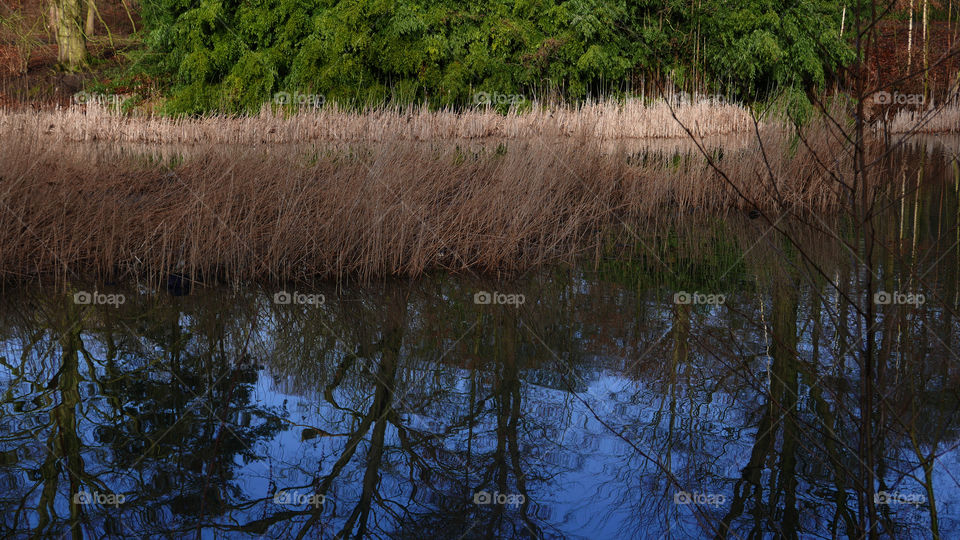 In a park in Belgium, march 2018.