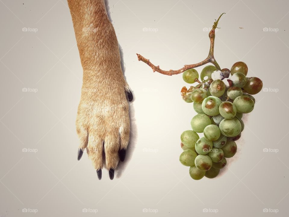 Just an unusual Photo!