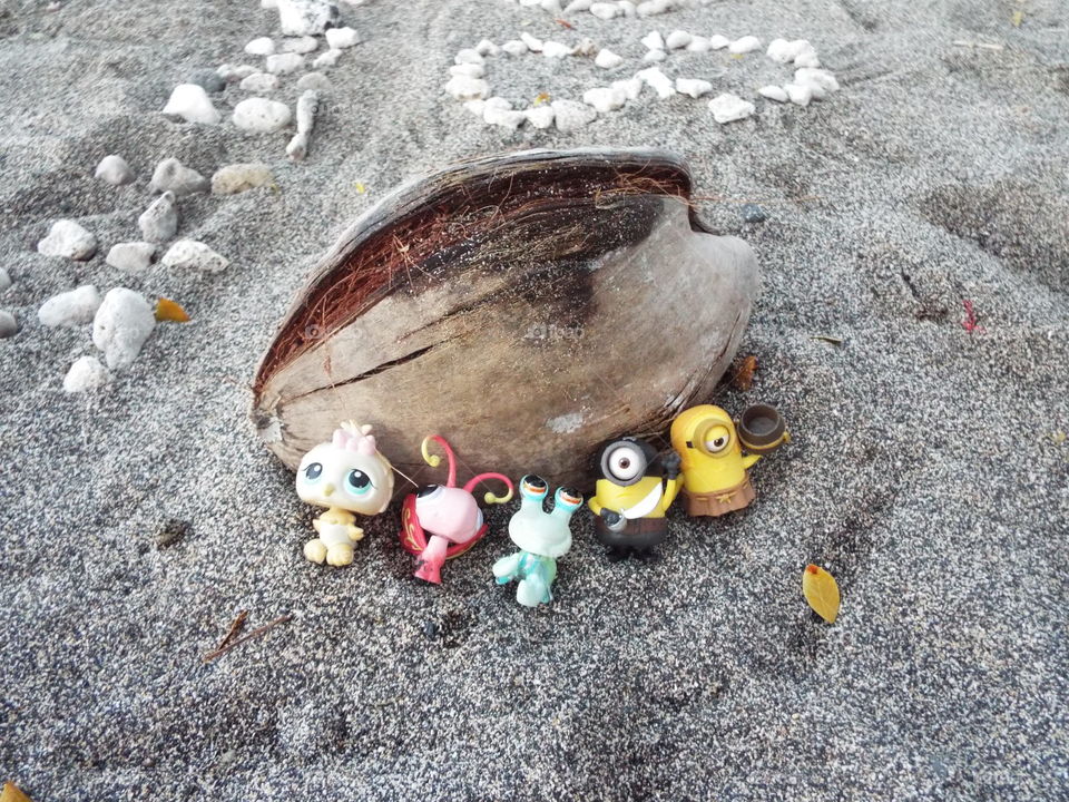 Toys meet coconut