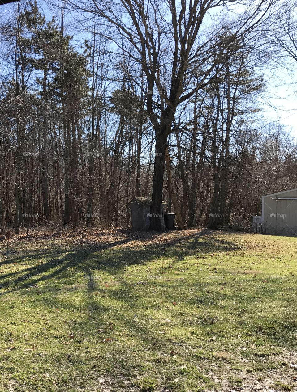 Spring afternoon abandoned shed 