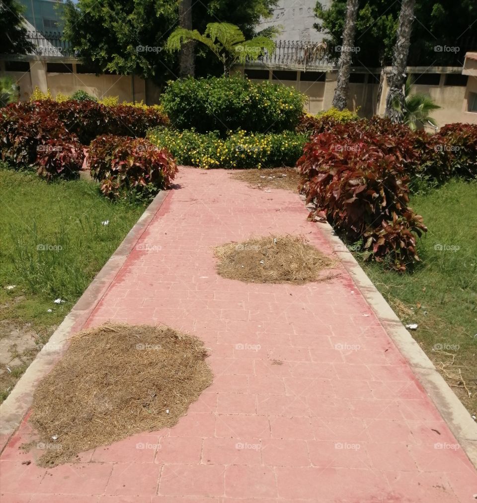 A beautiful little garden with blue skies and yellow trees and flowers and green and red plants and a pink sidewalk.