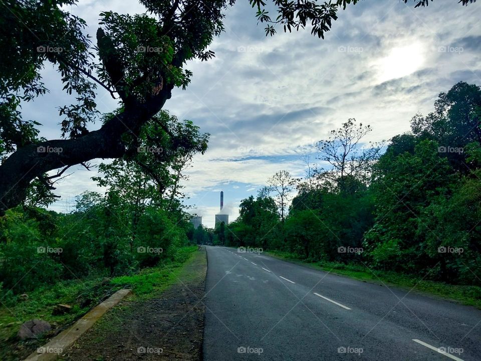 plain road with greenery