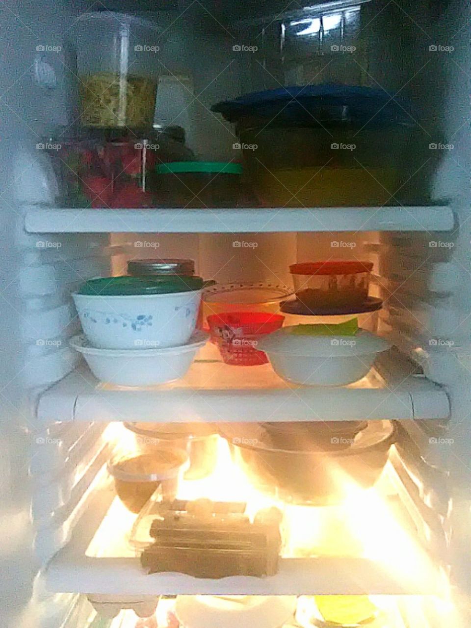Inside Shot of Refrigerator