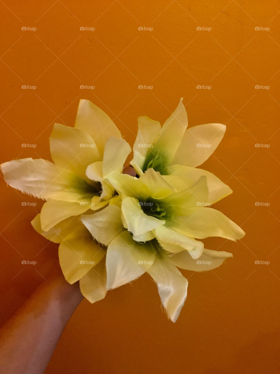 Flowers that will make you happy 