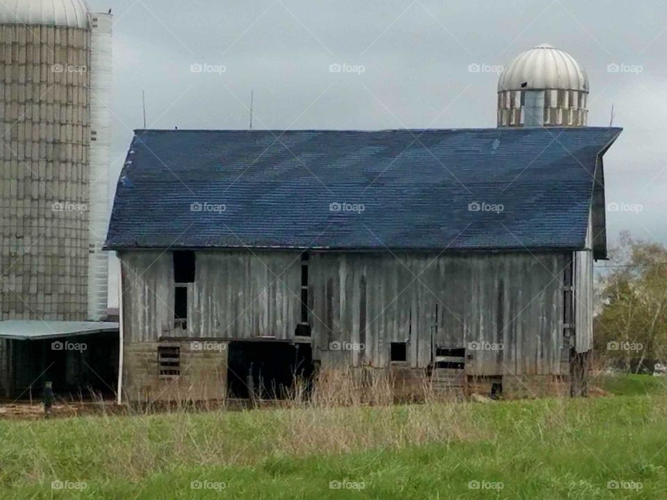 Driving the Back Roads and enjoying everything around us